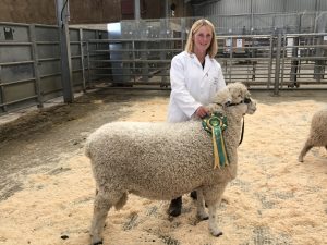 Davina Stanhope with her Shearling Ram, Tingewick Florin, Show Champion at Cirencester Market 2017.